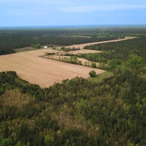 Photo #2 of SOLD property in Lebanon Church Rd, Jarratt, VA 81.0 acres