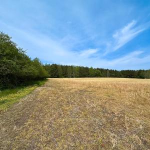 Photo #3 of SOLD property in Lebanon Church Rd, Jarratt, VA 81.0 acres