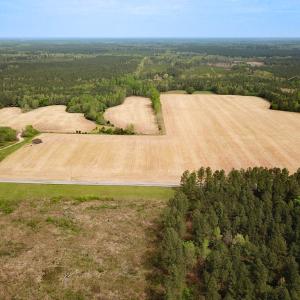 Photo #4 of SOLD property in Lebanon Church Rd, Jarratt, VA 81.0 acres
