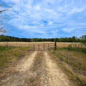 Photo #5 of SOLD property in Lebanon Church Rd, Jarratt, VA 81.0 acres