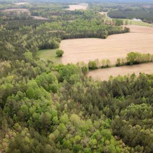 Photo #8 of SOLD property in Lebanon Church Rd, Jarratt, VA 81.0 acres