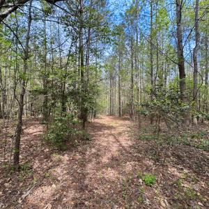 Photo #10 of SOLD property in Lebanon Church Rd, Jarratt, VA 81.0 acres