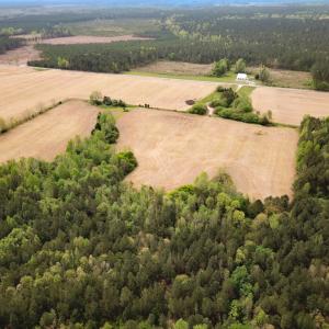 Photo #11 of SOLD property in Lebanon Church Rd, Jarratt, VA 81.0 acres
