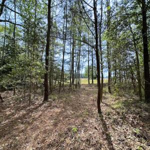 Photo #12 of SOLD property in Lebanon Church Rd, Jarratt, VA 81.0 acres