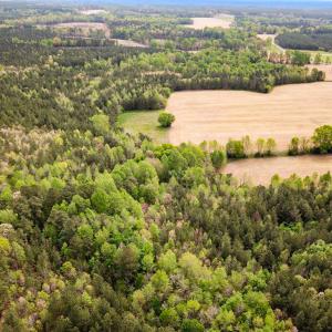 Photo #15 of SOLD property in Lebanon Church Rd, Jarratt, VA 81.0 acres