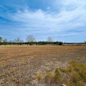Photo #17 of SOLD property in Lebanon Church Rd, Jarratt, VA 81.0 acres