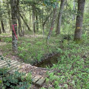 Photo #18 of SOLD property in Lebanon Church Rd, Jarratt, VA 81.0 acres