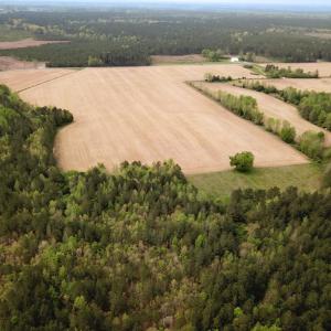 Photo #19 of SOLD property in Lebanon Church Rd, Jarratt, VA 81.0 acres