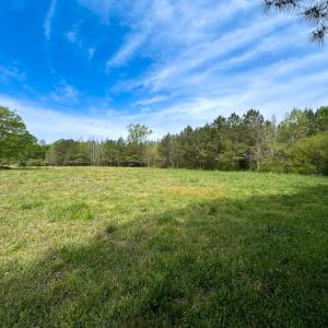 Photo #21 of SOLD property in Lebanon Church Rd, Jarratt, VA 81.0 acres