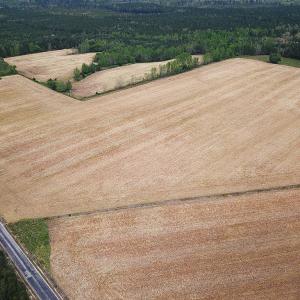 Photo #22 of SOLD property in Lebanon Church Rd, Jarratt, VA 81.0 acres