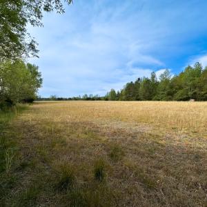 Photo #24 of SOLD property in Lebanon Church Rd, Jarratt, VA 81.0 acres