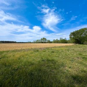 Photo #30 of SOLD property in Lebanon Church Rd, Jarratt, VA 81.0 acres