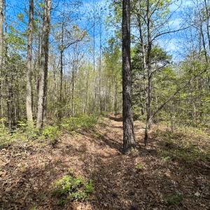 Photo #31 of SOLD property in Lebanon Church Rd, Jarratt, VA 81.0 acres