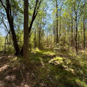 Photo #32 of SOLD property in Lebanon Church Rd, Jarratt, VA 81.0 acres