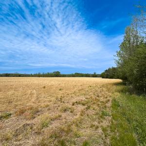 Photo #33 of SOLD property in Lebanon Church Rd, Jarratt, VA 81.0 acres
