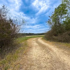 Photo #36 of SOLD property in Lebanon Church Rd, Jarratt, VA 81.0 acres