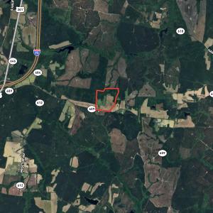 Photo #37 of SOLD property in Lebanon Church Rd, Jarratt, VA 81.0 acres