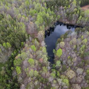 Photo #13 of SOLD property in Off Owens Mill Rd, Nathalie, VA 44.8 acres
