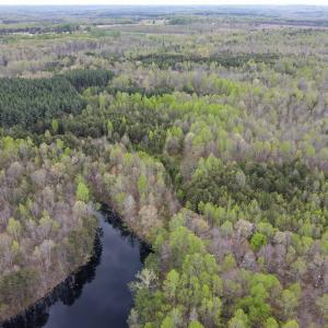 Photo #14 of SOLD property in Off Owens Mill Rd, Nathalie, VA 44.8 acres