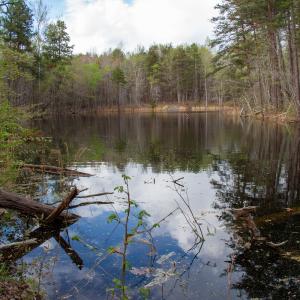 Photo #15 of SOLD property in Off Owens Mill Rd, Nathalie, VA 44.8 acres