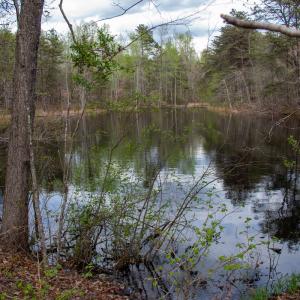 Photo #16 of SOLD property in Off Owens Mill Rd, Nathalie, VA 44.8 acres