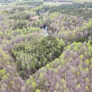 Photo #17 of SOLD property in Off Owens Mill Rd, Nathalie, VA 44.8 acres