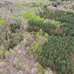 Photo #2 of SOLD property in Off Owens Mill Rd, Nathalie, VA 44.8 acres