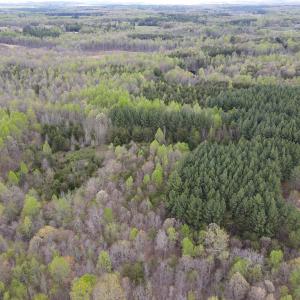 Photo #3 of SOLD property in Off Owens Mill Rd, Nathalie, VA 44.8 acres