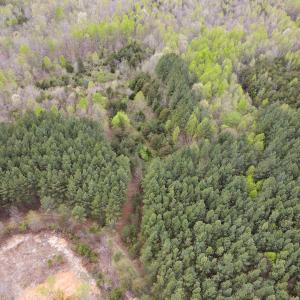 Photo #4 of SOLD property in Off Owens Mill Rd, Nathalie, VA 44.8 acres