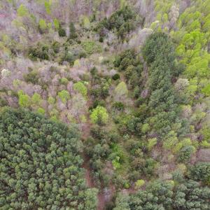Photo #8 of SOLD property in Off Owens Mill Rd, Nathalie, VA 44.8 acres