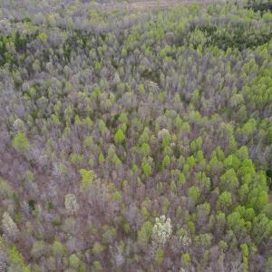 Photo #22 of SOLD property in Off Owens Mill Rd, Nathalie, VA 44.8 acres