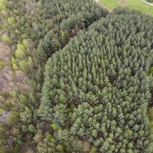 Photo #24 of SOLD property in Off Owens Mill Rd, Nathalie, VA 44.8 acres