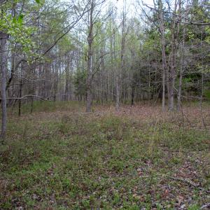 Photo #29 of SOLD property in Off Owens Mill Rd, Nathalie, VA 44.8 acres