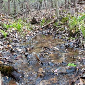 Photo #32 of SOLD property in Off Owens Mill Rd, Nathalie, VA 44.8 acres
