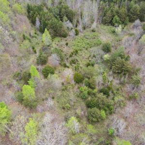 Photo #33 of SOLD property in Off Owens Mill Rd, Nathalie, VA 44.8 acres