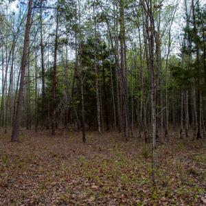 Photo #34 of SOLD property in Off Owens Mill Rd, Nathalie, VA 44.8 acres