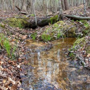 Photo #35 of SOLD property in Off Owens Mill Rd, Nathalie, VA 44.8 acres