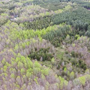 Photo #37 of SOLD property in Off Owens Mill Rd, Nathalie, VA 44.8 acres