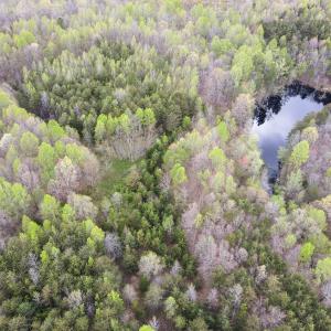 Photo #39 of SOLD property in Off Owens Mill Rd, Nathalie, VA 44.8 acres