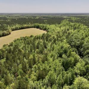 Photo #9 of SOLD property in Off Fire Tower Road, Jackson, NC 12.5 acres