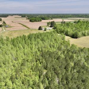 Photo #10 of SOLD property in Off Fire Tower Road, Jackson, NC 12.5 acres