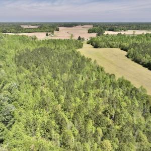 Photo #12 of SOLD property in Off Fire Tower Road, Jackson, NC 12.5 acres