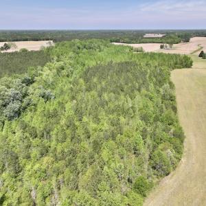 Photo #13 of SOLD property in Off Fire Tower Road, Jackson, NC 12.5 acres