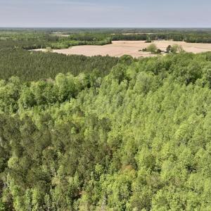 Photo #16 of SOLD property in Off Fire Tower Road, Jackson, NC 12.5 acres