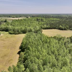 Photo #6 of SOLD property in Off Fire Tower Road, Jackson, NC 12.5 acres