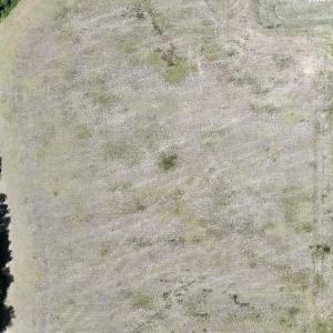 Photo #21 of SOLD property in Off Fire Tower Road, Jackson, NC 12.5 acres