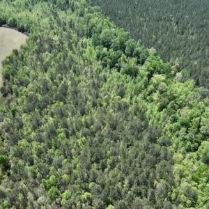 Photo #22 of SOLD property in Off Fire Tower Road, Jackson, NC 12.5 acres