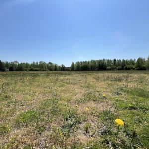 Photo #27 of SOLD property in Off Fire Tower Road, Jackson, NC 12.5 acres