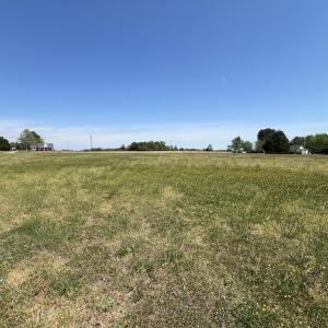 Photo #29 of SOLD property in Off Fire Tower Road, Jackson, NC 12.5 acres