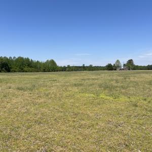 Photo #30 of SOLD property in Off Fire Tower Road, Jackson, NC 12.5 acres